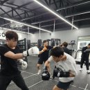 아비요 복싱 언양관 네이버블로그