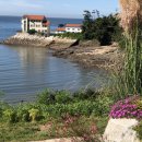 부안 촌캉스 이미지