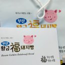 황금3로 | 부산 기념품 추천 황금복돼지빵 여행 선물 후기