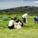 바다그린 이미지