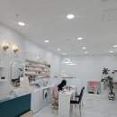 차이시스터