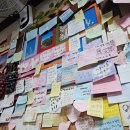 성산일출봉손칼국수