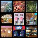 명동스타약국 이미지