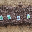 솔마1로 이미지