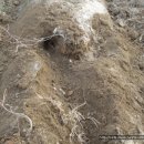 산청농장 이미지