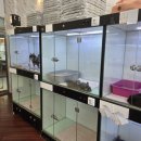 도그마루 강아지고양이 김해창원점 이미지