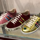 뉴에이스(NEW ACE) 이미지