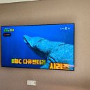 기동세천 이미지