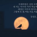 강성은꽃 이미지