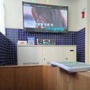 신세계노래연습장 | 📍 대구 동성로 악쓰는하마 코인노래연습장