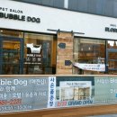 오블라썸네일