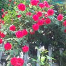 나무공인중개사사무소 이미지