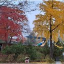 반딧불자연캠핑장 이미지