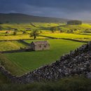 자연의꿈 이미지