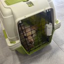 서정1리마을회관 이미지