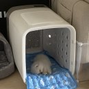 우리드라이방 네이버블로그