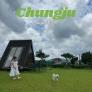 애견탑 | 충주 여행 가볼만한 곳 애견동반 가능 탑뷰 카페 주차 메뉴 내돈내산 후기