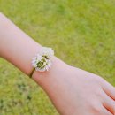 미사리밀빛초계국수칼국수 이미지