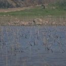 좋은자리 이미지