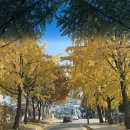 참조아약국 이미지