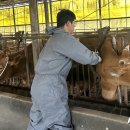 김태성농장 이미지