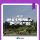 경북대학교 박물관 이미지