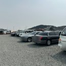 당진 장고항 슬기네수산 실치회, 쭈꾸미세트/내돈내산 후기