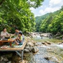 늘솔길펜션 | 취사 가능 계곡 서울 근교 TOP4 비교 | 입장료·거리 정리