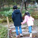 오누이