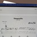 Despacito 데스빠씨또 이미지