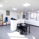 도그미용실 이미지