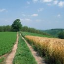 은혜동산 이미지