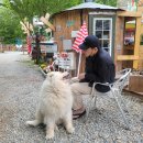 캠프에이프릴 이미지