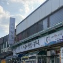 거북이횟집 | 묵호 혼자여행 해장 추천 내돈내산 곰치국 먹은 후기 거북이횟집곰치국