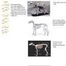 김성남 농장 이미지