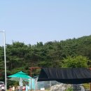 디아팰리스 네이버블로그