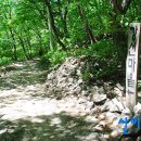 곰배령새소리 이미지