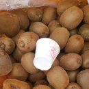 갈마농장 이미지