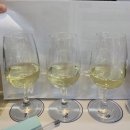 까막눈에서 WSET Level 2 디스팅션(Pass with Distinction) 합격까지 / WSA와인아카데미 / 와린이 일상
