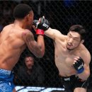 카프킥복싱.MMA 이미지