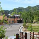 한우산애천하장사 이미지