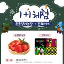 펀 태권도장 | 주말체험 후기 🍓 &amp; 🎮