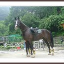 화이트 밸리 이미지