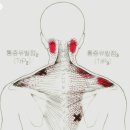 아픔제로한의원 이미지