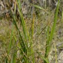 제주하늘지기 이미지