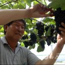 사현 이미지