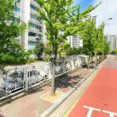 영성중로 이미지