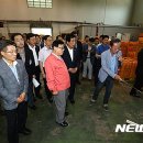 자인농협 농산물 산지유통센터 뉴시스