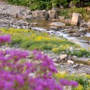 소금강모텔 이미지