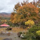 호수정감 이미지